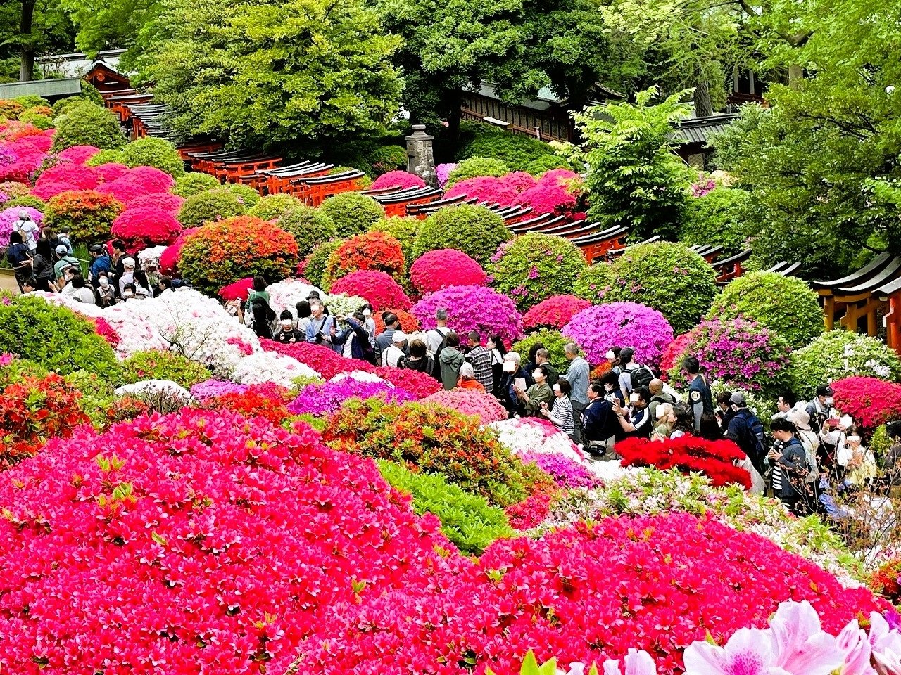 🏞️ 다이야가와 공원(닛코 다이야가와 코엔) 이미지 7
